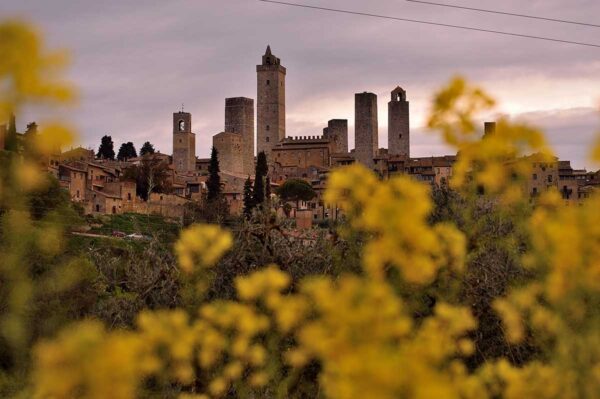 Viaggio nella Pietra Magica                                           ( Volterra - San Gimignano) - immagine 4