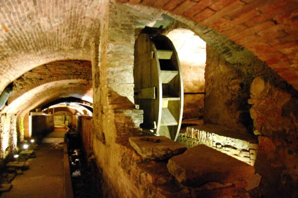Benessere "nascosto"                                                                                          (Pistoia) - immagine 14