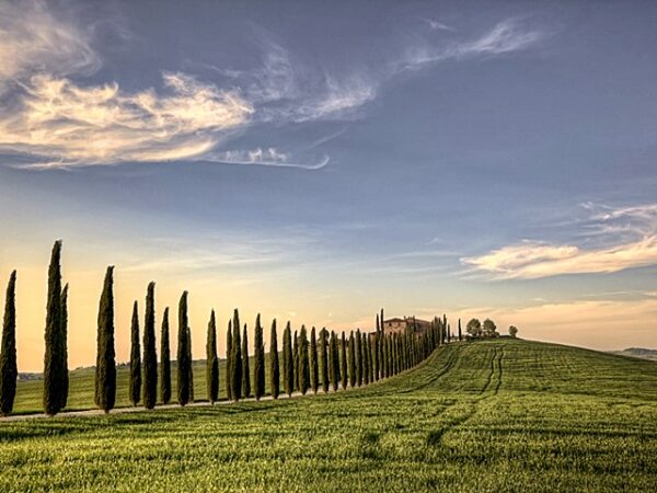 I Borghi del gusto               (Pienza - Moltepulciano) - immagine 2