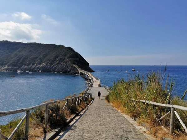 Il Mare a Colori          (Procida) - immagine 24