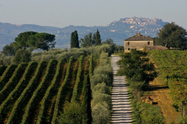 I Borghi del gusto               (Pienza - Moltepulciano) - immagine 3