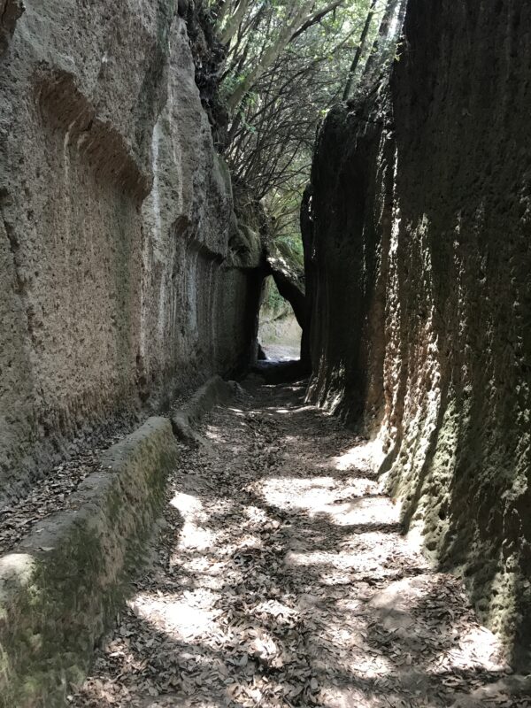 ArcheoTrekking nel Tufo                                                                      (Pitigliano - Sovana) - immagine 10