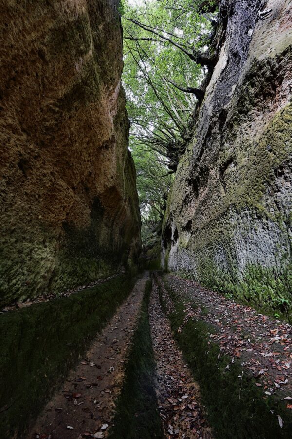 ArcheoTrekking nel Tufo                                                                      (Pitigliano - Sovana) - immagine 12