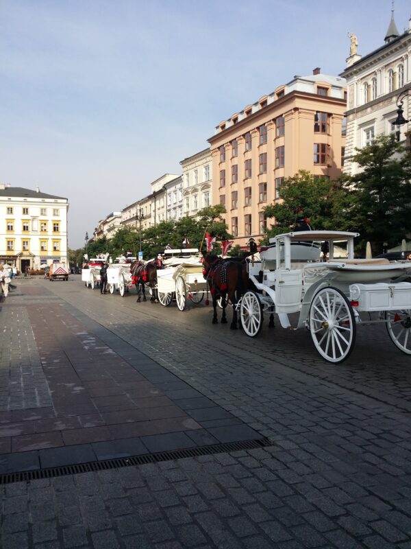 Cracovia - immagine 21