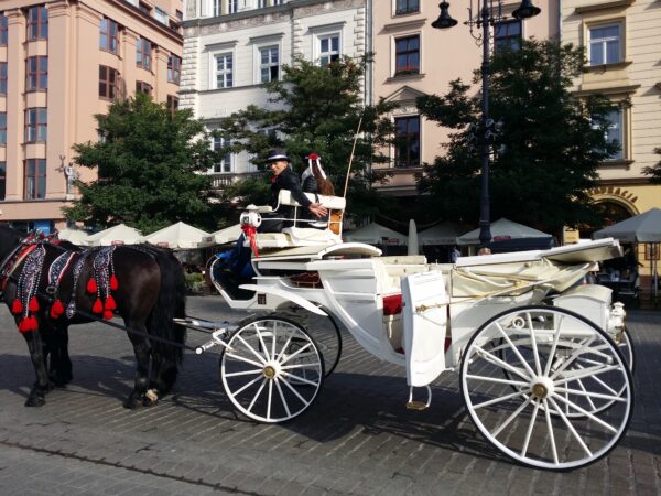 Cracovia - immagine 22