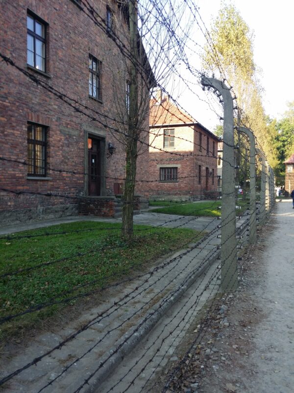 Cracovia - immagine 28
