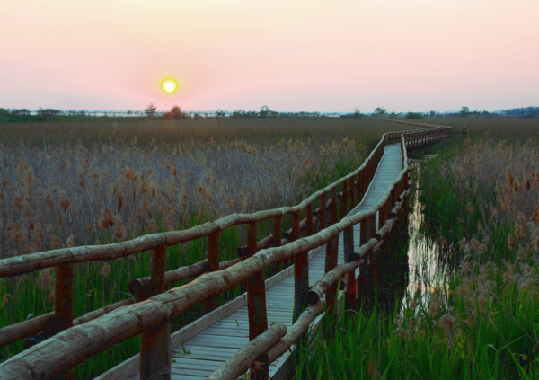 Puccini...non solo note...                                               (Massaciuccoli - Lucca-Torre del Lago) - immagine 5
