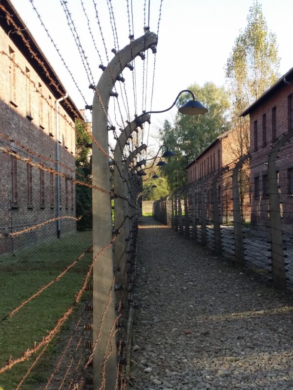 Cracovia - immagine 29