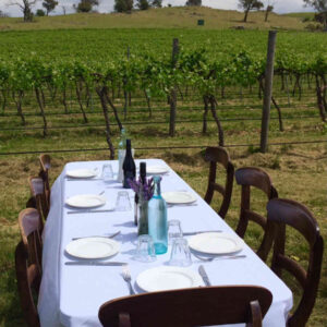 Picnic d'Autore                                                                                               (Assisi)