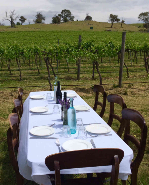 Picnic d'Autore                                                                                               (Assisi)