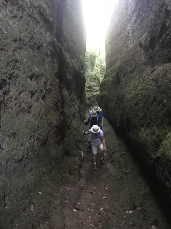 ArcheoTrekking nel Tufo                                                                      (Pitigliano - Sovana) - immagine 8
