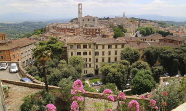 Vini e Mestieri            (Perugia) - immagine 3