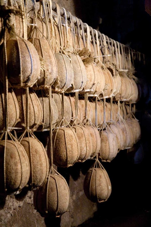 Nel mondo  della Pasta alla Nerano                                     (Gragnano - Vico Equense) - immagine 10