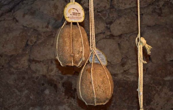 Nel mondo  della Pasta alla Nerano                                     (Gragnano - Vico Equense) - immagine 11