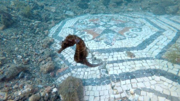 Nella città sommersa                                                  (Baia - Campi Flegrei) * - immagine 16