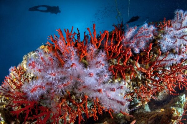 Nel Mare di Marmo                                        (Pozzuoli - Baia - Campi Flegrei) * - immagine 26