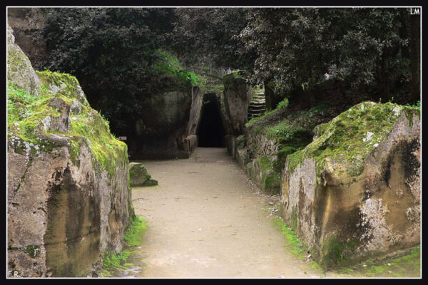 Nella città sommersa                                                  (Baia - Campi Flegrei) * - immagine 26
