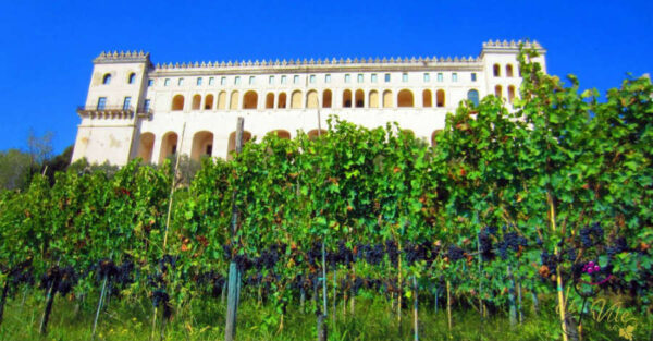 Sulle scale di Napoli                                                                                (Napoli) (Copia) - immagine 17