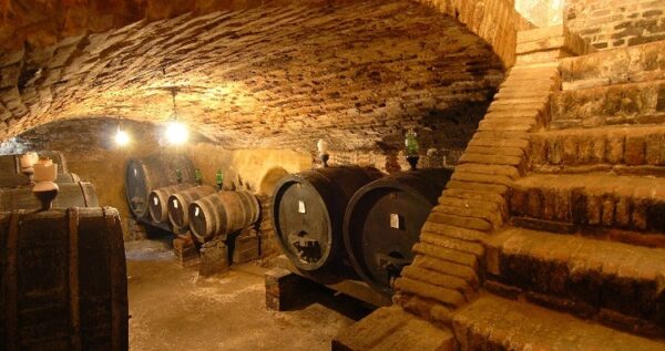 I Borghi del gusto               (Pienza - Moltepulciano) - immagine 16
