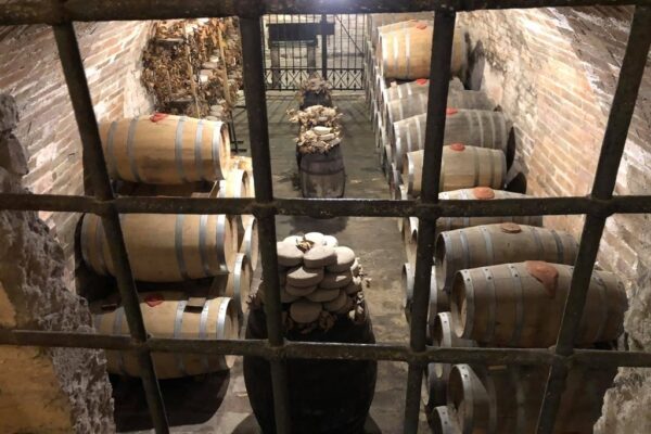 I Borghi del gusto               (Pienza - Moltepulciano) - immagine 17