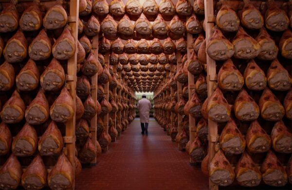 I "Profumi" di Parma              (Parma) - immagine 25