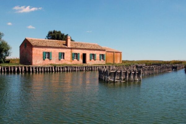 Delta e Mosaici             (Ravenna - Delta del Po - Comacchio) - immagine 20