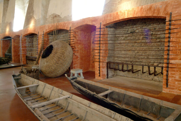 Delta e Mosaici             (Ravenna - Delta del Po - Comacchio) - immagine 23