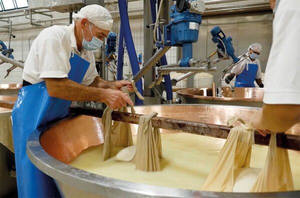 I "Profumi" di Parma              (Parma) - immagine 7