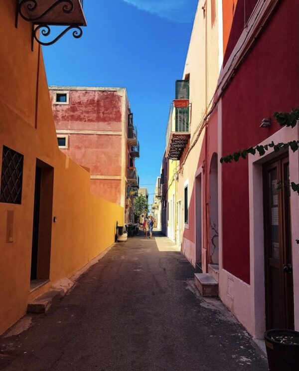 Vela e Pedali                                  (Procida - Ischia - Ventotene - Sorrento) - immagine 18
