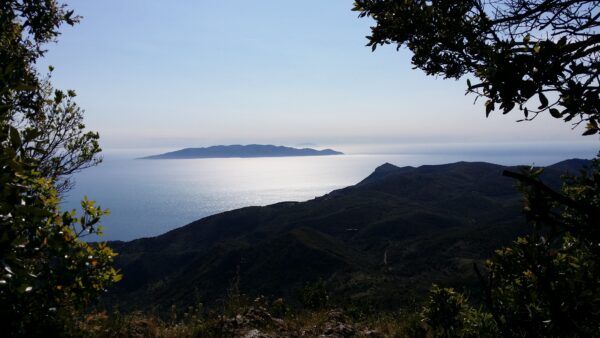 Con i Butteri in riva al mare            (Maremma– Orbetello – Isola del Giglio) - immagine 30