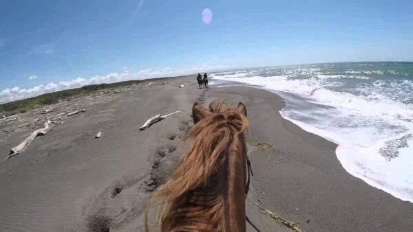 Con i Butteri in riva al mare            (Maremma– Orbetello – Isola del Giglio) - immagine 2