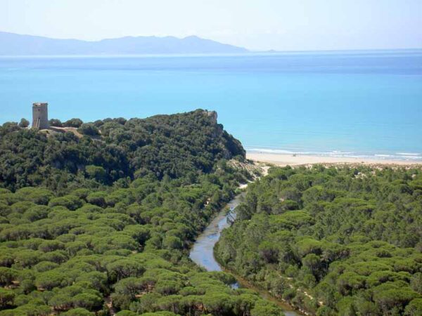 Con i Butteri in riva al mare            (Maremma– Orbetello – Isola del Giglio) - immagine 13