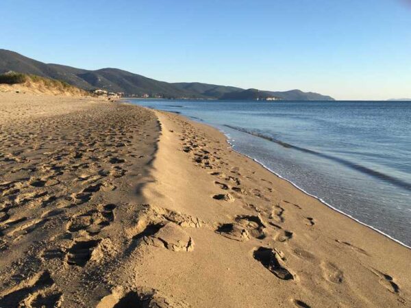 Con i Butteri in riva al mare            (Maremma– Orbetello – Isola del Giglio) - immagine 9
