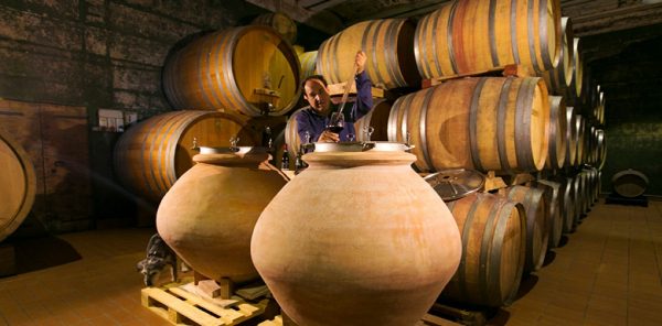 Cantine di Tufo e Grandi Vini           (Orvieto - Montefalco) - immagine 21