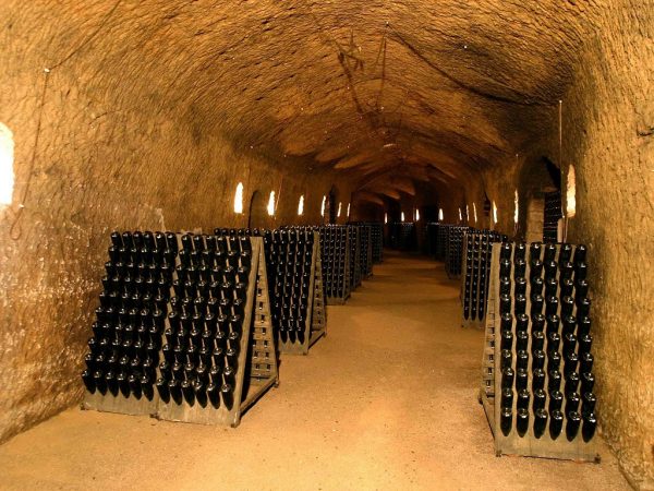 Cantine di Tufo e Grandi Vini           (Orvieto - Montefalco) - immagine 17