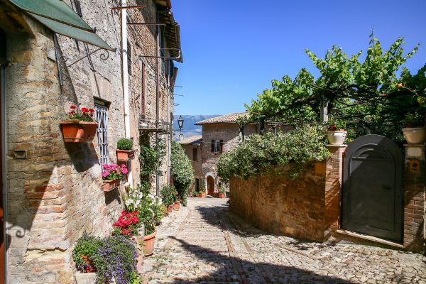 Cantine di Tufo e Grandi Vini           (Orvieto - Montefalco) - immagine 18