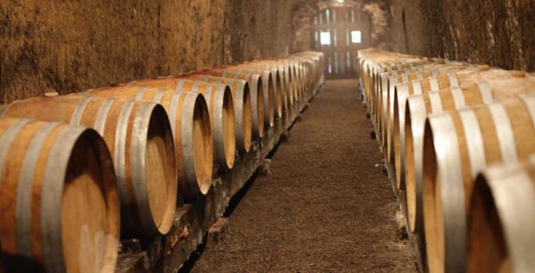 Cantine di Tufo e Grandi Vini           (Orvieto - Montefalco) - immagine 22