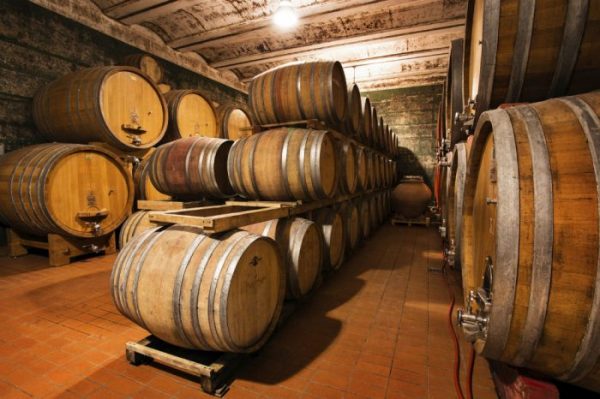Cantine di Tufo e Grandi Vini           (Orvieto - Montefalco) - immagine 16