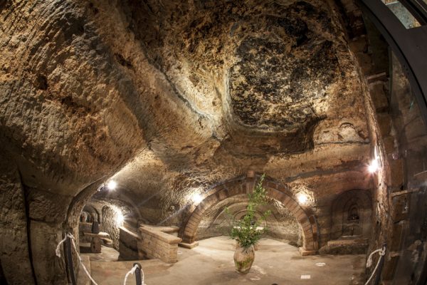 Cantine di Tufo e Grandi Vini           (Orvieto - Montefalco) - immagine 28