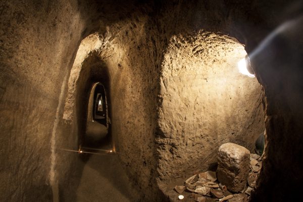 Cantine di Tufo e Grandi Vini           (Orvieto - Montefalco) - immagine 27