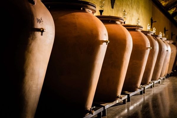 Cantine di Tufo e Grandi Vini           (Orvieto - Montefalco) - immagine 26