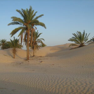 Tunisia Grande Sud